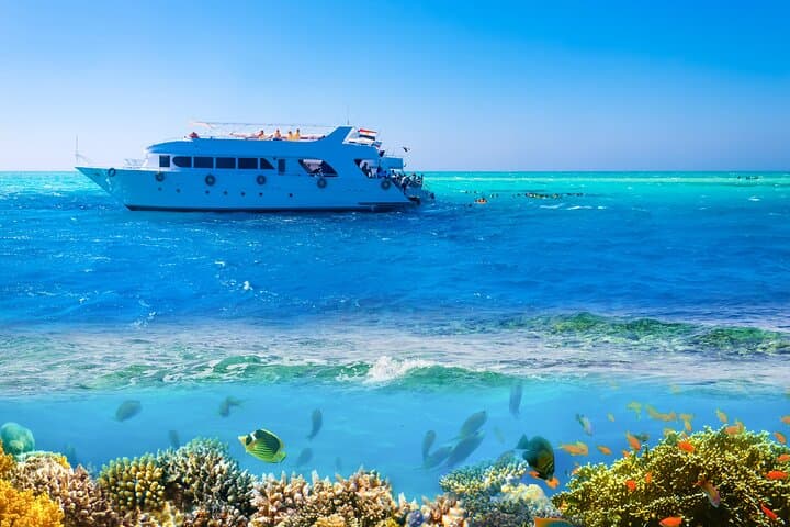 Ras Mohamed & White Island: Full-Day Snorkel Cruise from Sharm El-Sheikh photo 4