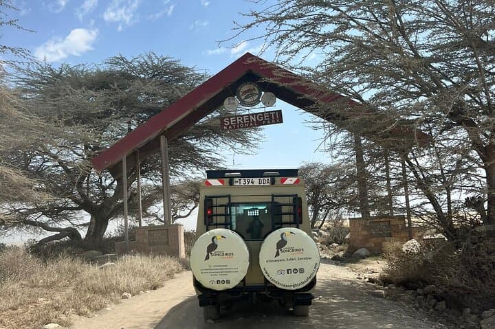 Tanzania Safari: 7-Day Mid-Range Northern Circuit Adventure