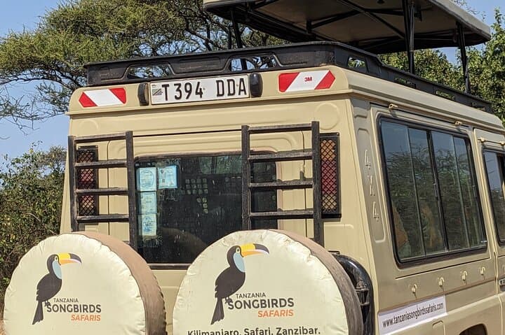 Tanzania Safari: 7-Day Mid-Range Northern Circuit Adventure photo 3