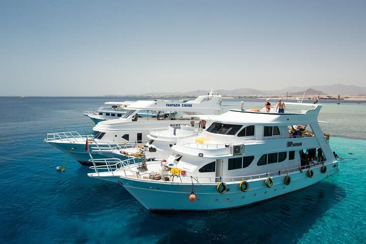 Tiran Island Snorkeling Day Trip from Sharm El Sheikh photo 5