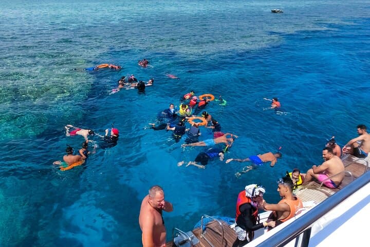 Tiran Island Snorkeling Day Trip from Sharm El Sheikh photo 6