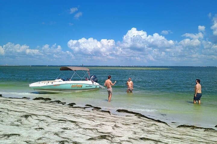 Clearwater Sunset Cruise: Private Evening Boat Tour & Dolphin Watch photo 6