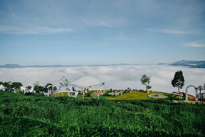 Da Lat Dawn Adventure: Cloud Hunting, Tea Hills & Strawberry Farms photo 2