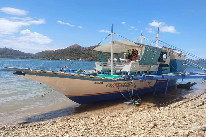 Private Coron Island-Hopping Boat Rental — Market-to-Table Picnic & Snorkel photo 4