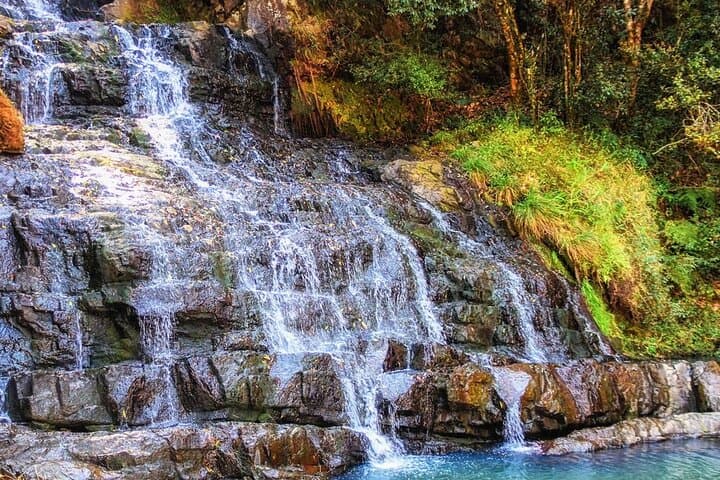 Da Lat Waterfalls, Coffee & Pagoda Day Tour photo 4