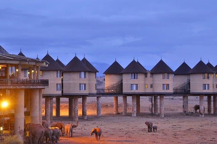 2-Day Saltlick Safari — Taita Hills Game Drives from Diani