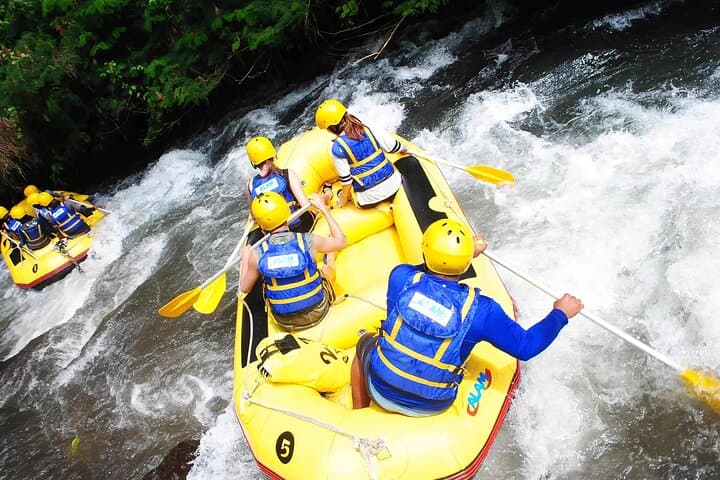 Ubud ATV & Ayung River Rafting Combo — 4–5 Hour Jungle Adventure photo 4