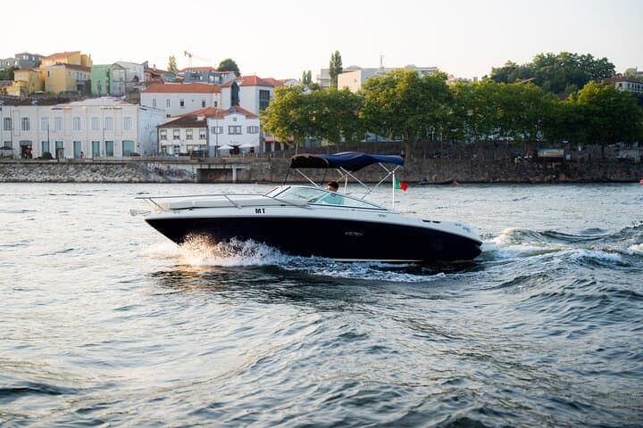 Porto Private Douro Boat Tour: 90-Min Port Wine Cruise & City Sights