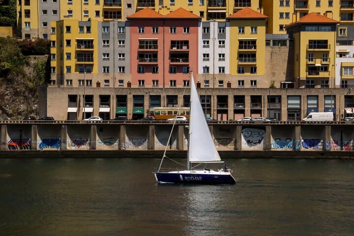 Douro River Wine Cruise: 2-Hour Scenic Sail from Vila Nova de Gaia