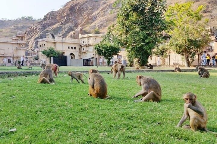 Two-Day Golden Triangle Private Tour — Taj Mahal, Agra Fort & Jaipur Highlights photo 4
