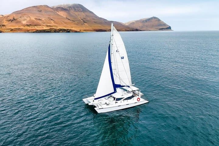Private Catamaran Charter to San Lorenzo Island from La Punta (Callao)