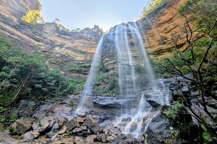 Blue Mountains Day Tour: Three Sisters, Wentworth Falls & Featherdale Wildlife Park photo 3