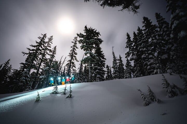 Moonlight and Starlight Snowshoe Tour at Mt. Bachelor — Night Snowshoeing Near Bend, Oregon photo 2