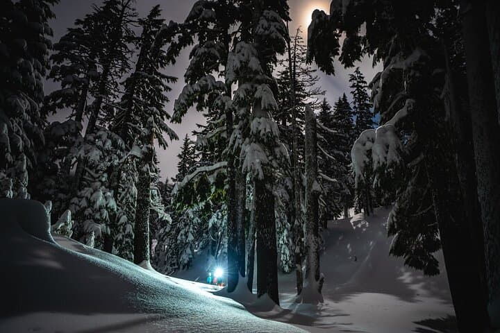 Moonlight and Starlight Snowshoe Tour at Mt. Bachelor — Night Snowshoeing Near Bend, Oregon photo 4