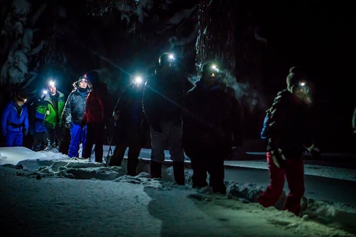Moonlight and Starlight Snowshoe Tour at Mt. Bachelor — Night Snowshoeing Near Bend, Oregon photo 6