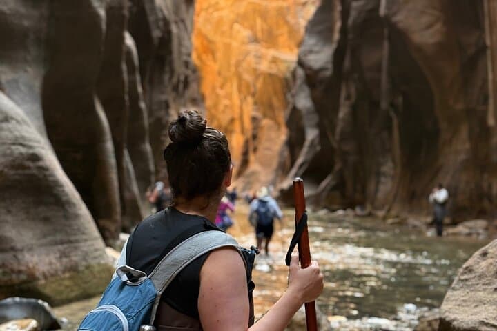 Private Narrows Slot Canyon Hike in Zion Canyon — Guided River Trek through Sandstone Walls