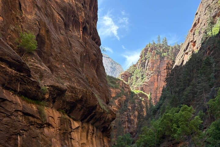 Private Narrows Slot Canyon Hike in Zion Canyon — Guided River Trek through Sandstone Walls photo 3