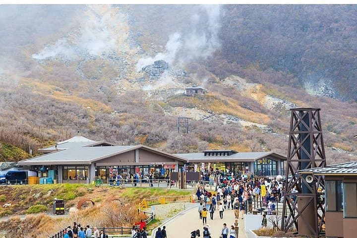 Mt Fuji and Hakone Land, Sea & Air Day Tour from Tokyo