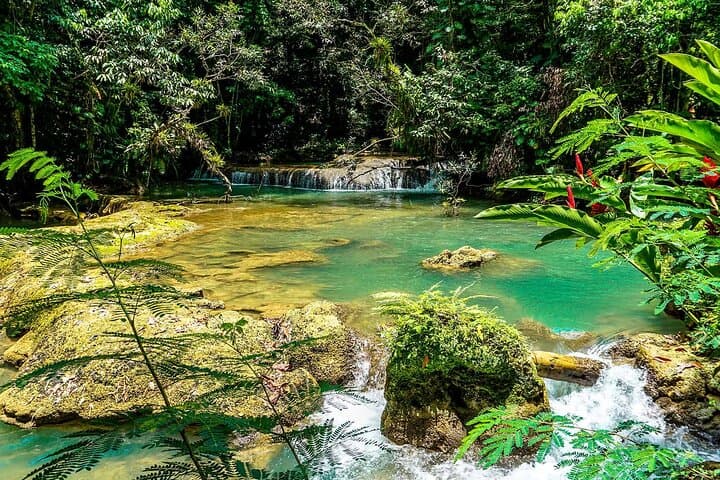 YS Falls and Black River Safari: South Coast Day Trip from Negril photo 3
