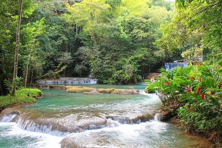 YS Falls and Black River Safari: South Coast Day Trip from Negril