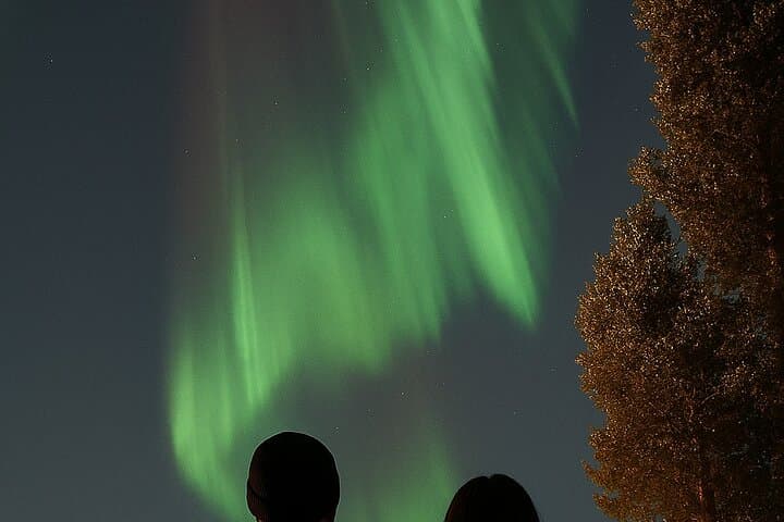Rovaniemi Northern Lights Tour: Small-Group Arctic Aurora Chase photo 3