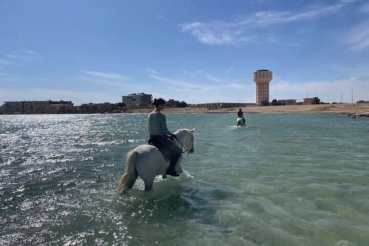 Horseback Riding in Hurghada: 2-Hour Desert and Red Sea Beach Ride photo 2