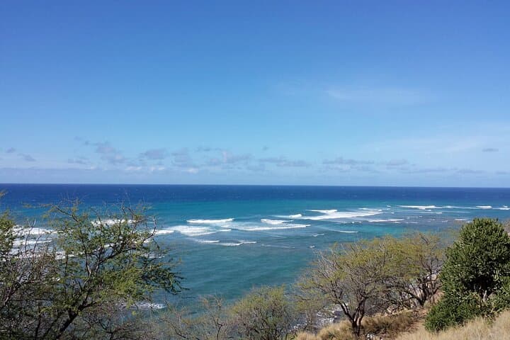 Circle Island: Full-Day Oahu Tour to Waimea Falls, Turtle Beach & Byodo-In Temple photo 2