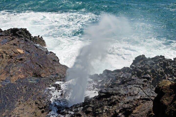 Circle Island: Full-Day Oahu Tour to Waimea Falls, Turtle Beach & Byodo-In Temple photo 4