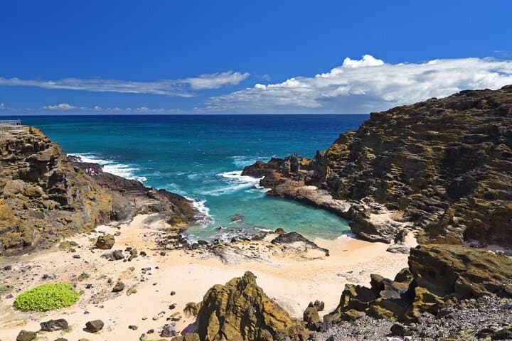 Circle Island: Full-Day Oahu Tour to Waimea Falls, Turtle Beach & Byodo-In Temple photo 5