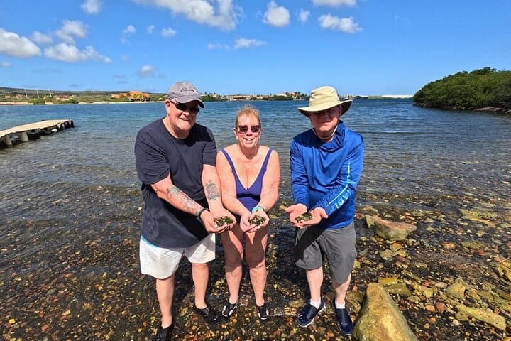 Sunset Sea Glass Island Kayak Tour, Aruba — Paddle to the Sea Glass Shore photo 2
