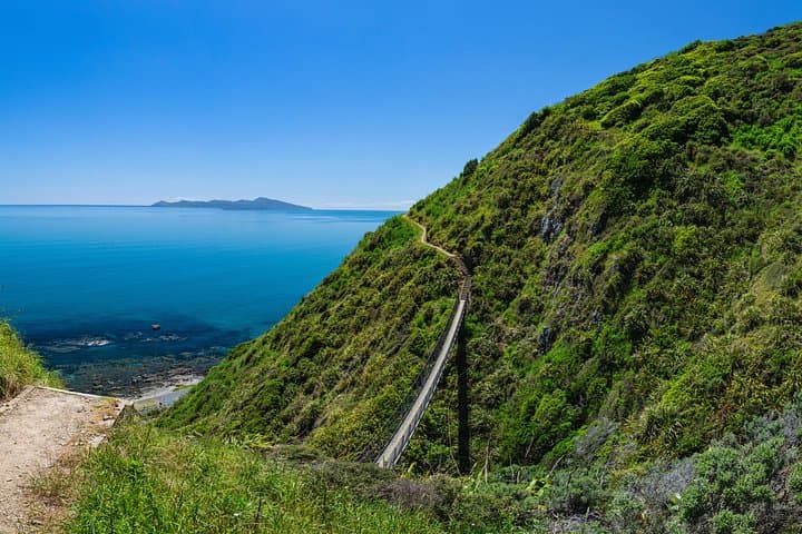Escarpment Track Guided Hike: Kāpiti Coast Stairway to Heaven Day Trip photo 2
