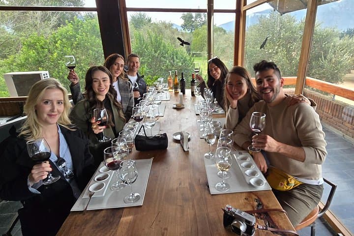 Casablanca Valley Wine Tour and Valparaíso Day Trip from Santiago photo 3