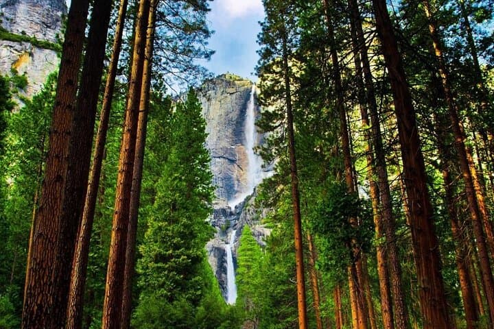 Luxury Coach Yosemite Day Tour: Tuolumne Grove, Yosemite Falls & Valley Highlights