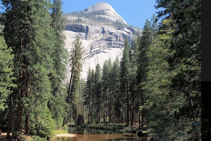 Luxury Coach Yosemite Day Tour: Tuolumne Grove, Yosemite Falls & Valley Highlights photo 3