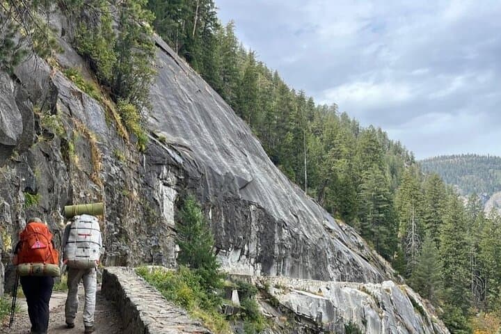 Luxury Coach Yosemite Day Tour: Tuolumne Grove, Yosemite Falls & Valley Highlights photo 4