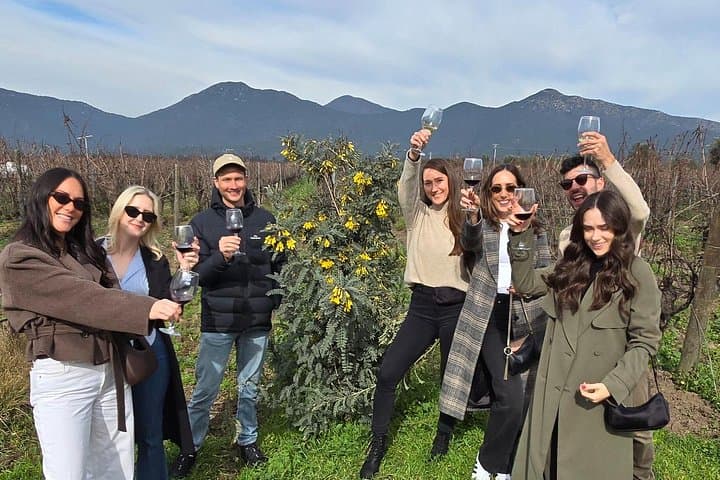 Casablanca Valley Wine Tour and Valparaíso Day Trip from Santiago photo 4
