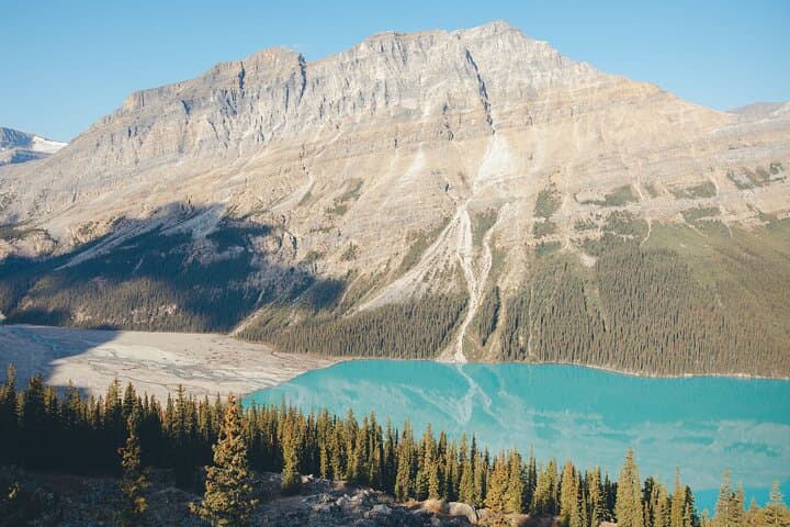 Icefields Parkway Experience: Day Tour to Peyto, Bow Lake & Athabasca Glacier photo 5