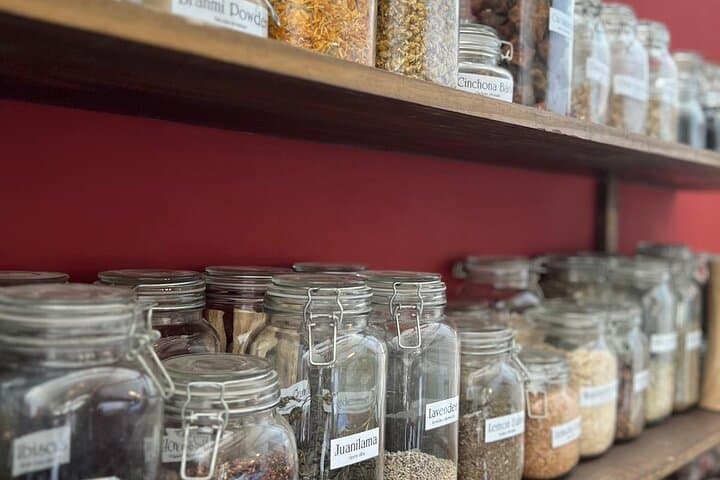Herbal Tea Workshop & Beach Time in Santa Teresa, Costa Rica photo 6