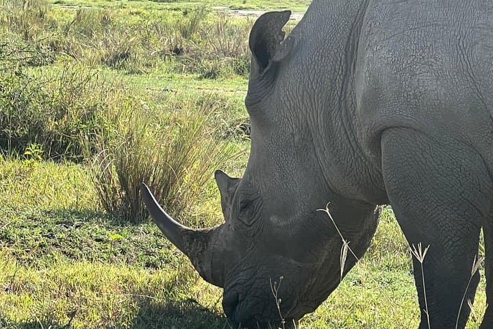 Ngorongoro Crater Day Safari from Arusha — Full-Day Game Drive & Picnic photo 1