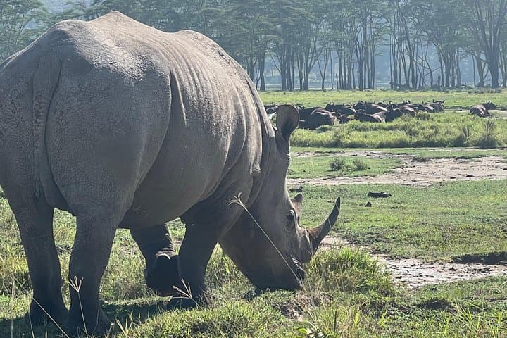 Ngorongoro Crater Day Safari from Arusha — Full-Day Game Drive & Picnic photo 2