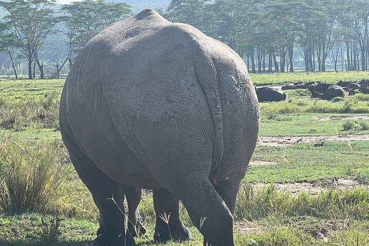 Ngorongoro Crater Day Safari from Arusha — Full-Day Game Drive & Picnic photo 3