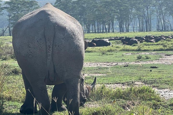 Ngorongoro Crater Day Safari from Arusha — Full-Day Game Drive & Picnic photo 4