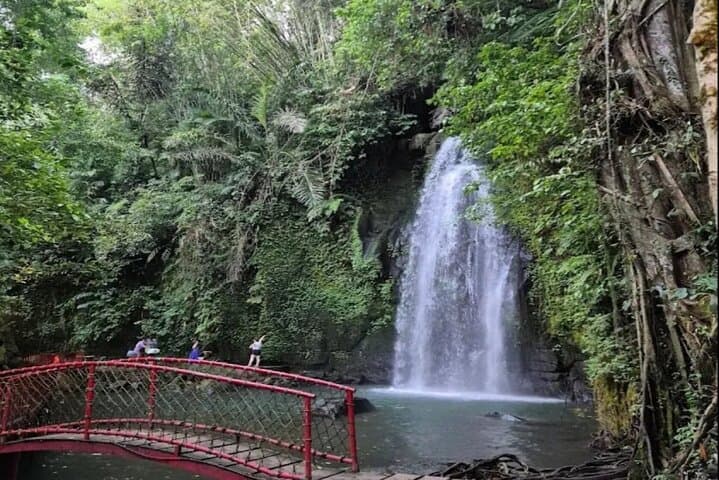 Ubud Waterfalls, Tegallalang Rice Terraces & Sebatu Temple Half-Day Private Tour photo 2