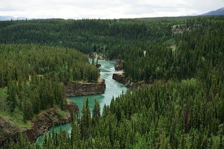 Yukon River Boat Tour Through Miles Canyon — Whitehorse Scenic Wildlife Cruise