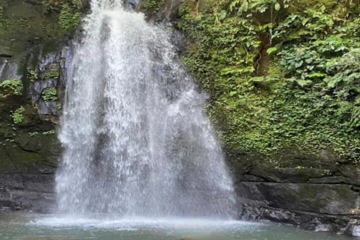 Ubud Waterfalls, Tegallalang Rice Terraces & Sebatu Temple Half-Day Private Tour photo 5