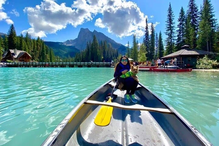 Moraine Lake & Lake Louise Shuttle: Hassle-Free Day in Banff’s Turquoise Wilds photo 3