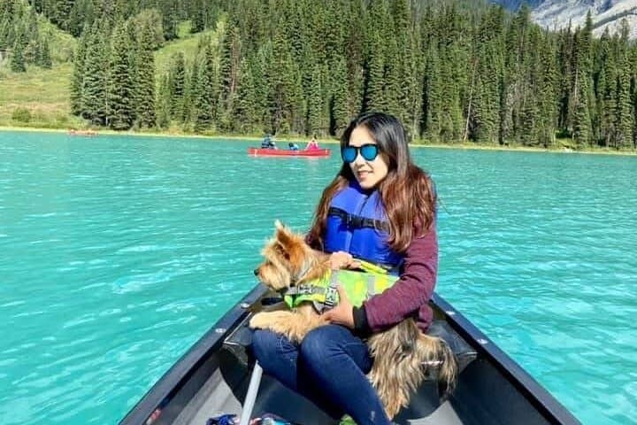 Moraine Lake & Lake Louise Shuttle: Hassle-Free Day in Banff’s Turquoise Wilds photo 4