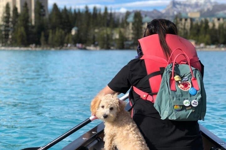 Moraine Lake & Lake Louise Shuttle: Hassle-Free Day in Banff’s Turquoise Wilds photo 5