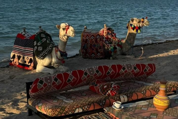 La Tenda Arabian Nights: Hurghada Desert Dinner & Folklore Show photo 2