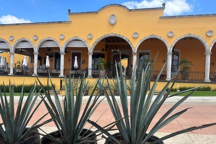 Secrets in Los Altos del Tequila: Arandas & Tepatitlán Full-Day Cultural Tour